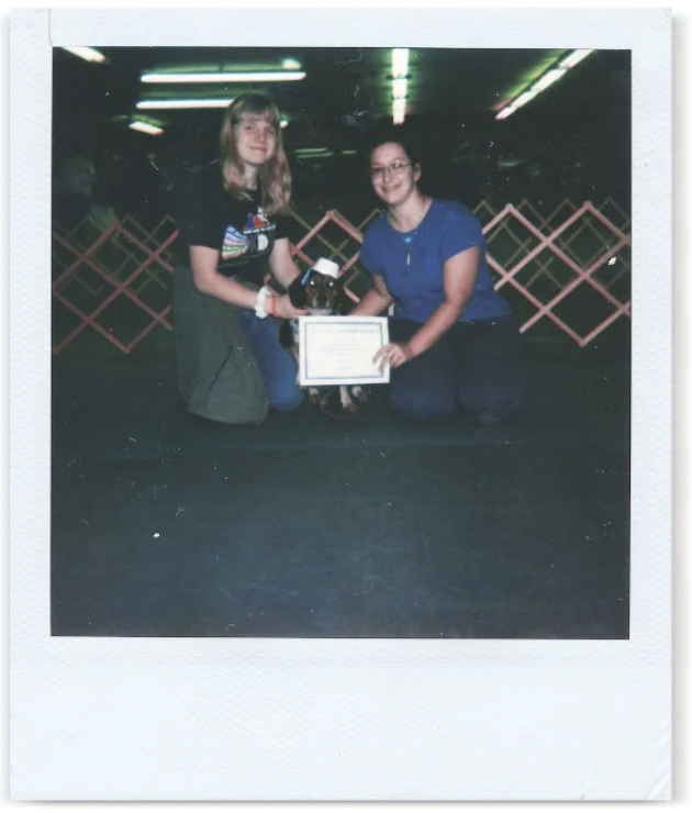 puppy training Tulsa at your home