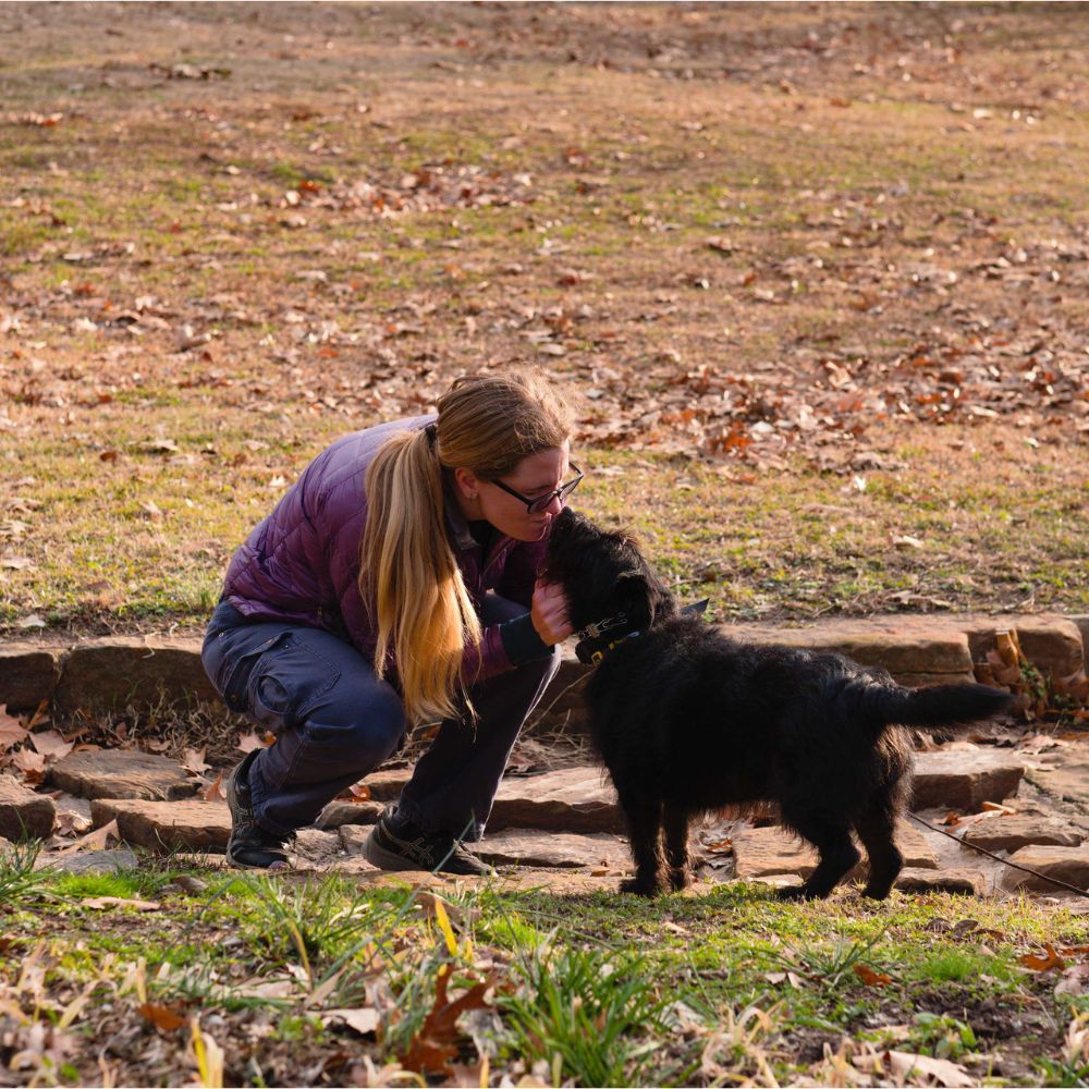 Owner of Trusty Trails Dog Training Tulsa 1