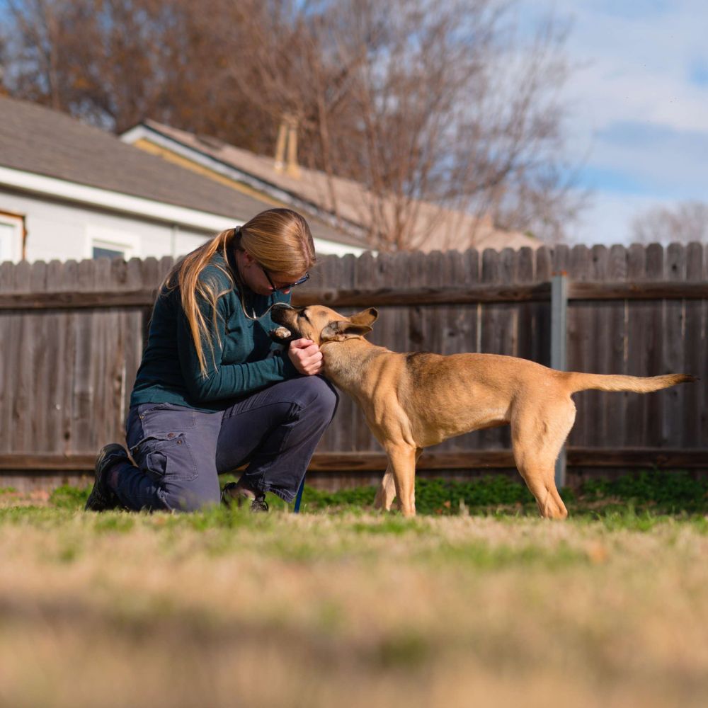 Owner of Trusty Trails Dog Training Tulsa