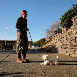 In-Home Puppy Training Tulsa